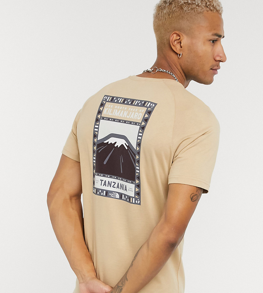 The North Face Faces T-shirt in tan Exclusive to ASOS-Green