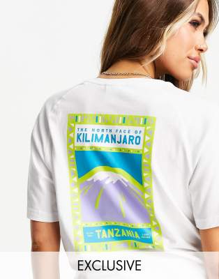 north face kilimanjaro shirt