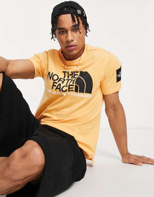 The North Face Fine Alpine 2 t shirt in orange ASOS