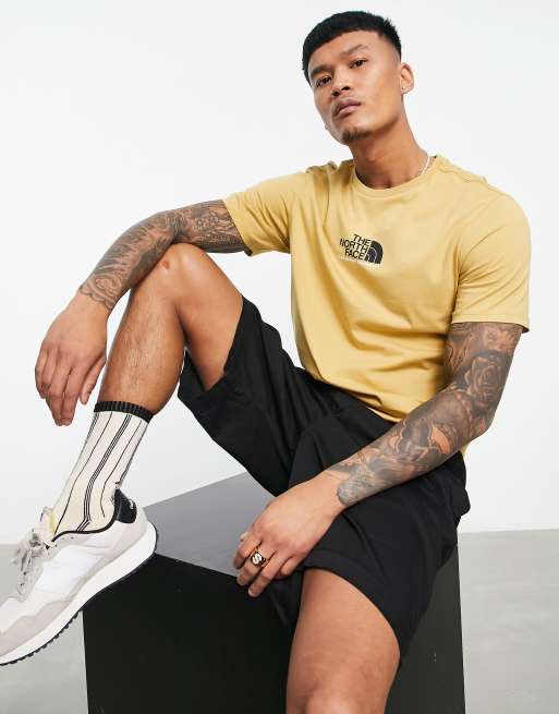 The North Face Fine Alpine Equipment 3 t-shirt in brown