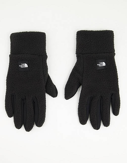 Melodieus Bel terug fout The North Face Fleeski Etip gloves in black | ASOS