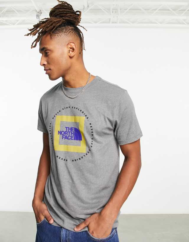 The North Face Geo NSE T-shirt in gray