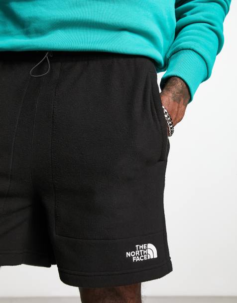 North face shorts men's 2024 sale