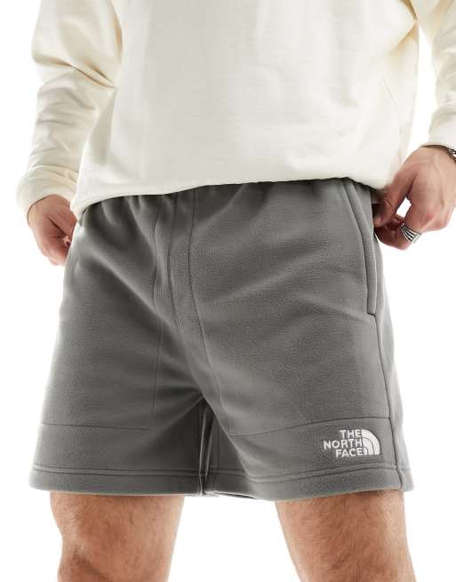 The North Face Glacier shorts in gray