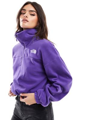 The North Face - Glacier - Fleece-Sweatshirt in Lila mit kurzem Reißverschluss und Oversize-Schnitt