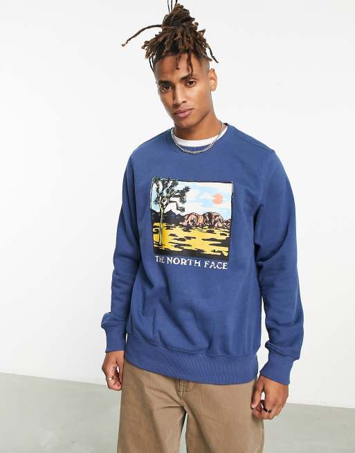 Men's Graphic Print Crew Neck Sweatshirt