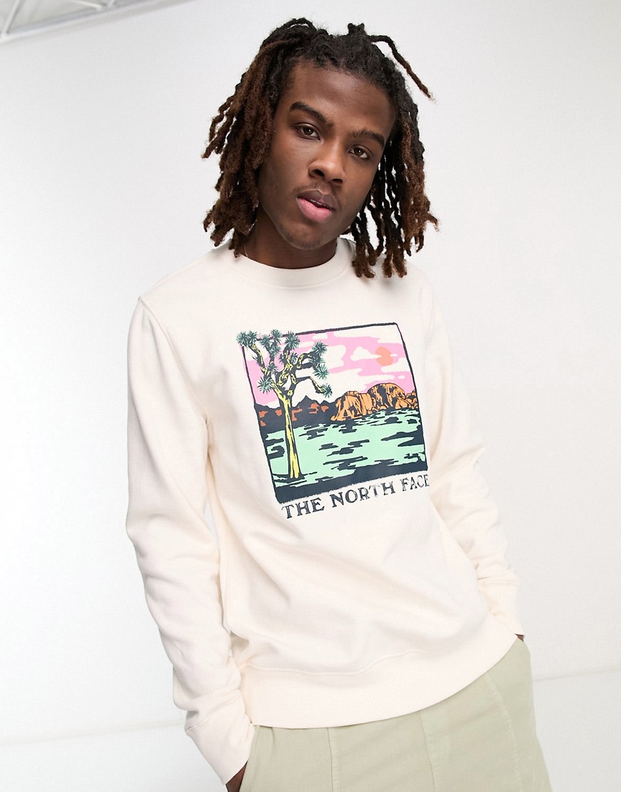 The North Face Graphic Injection chest print sweatshirt in white