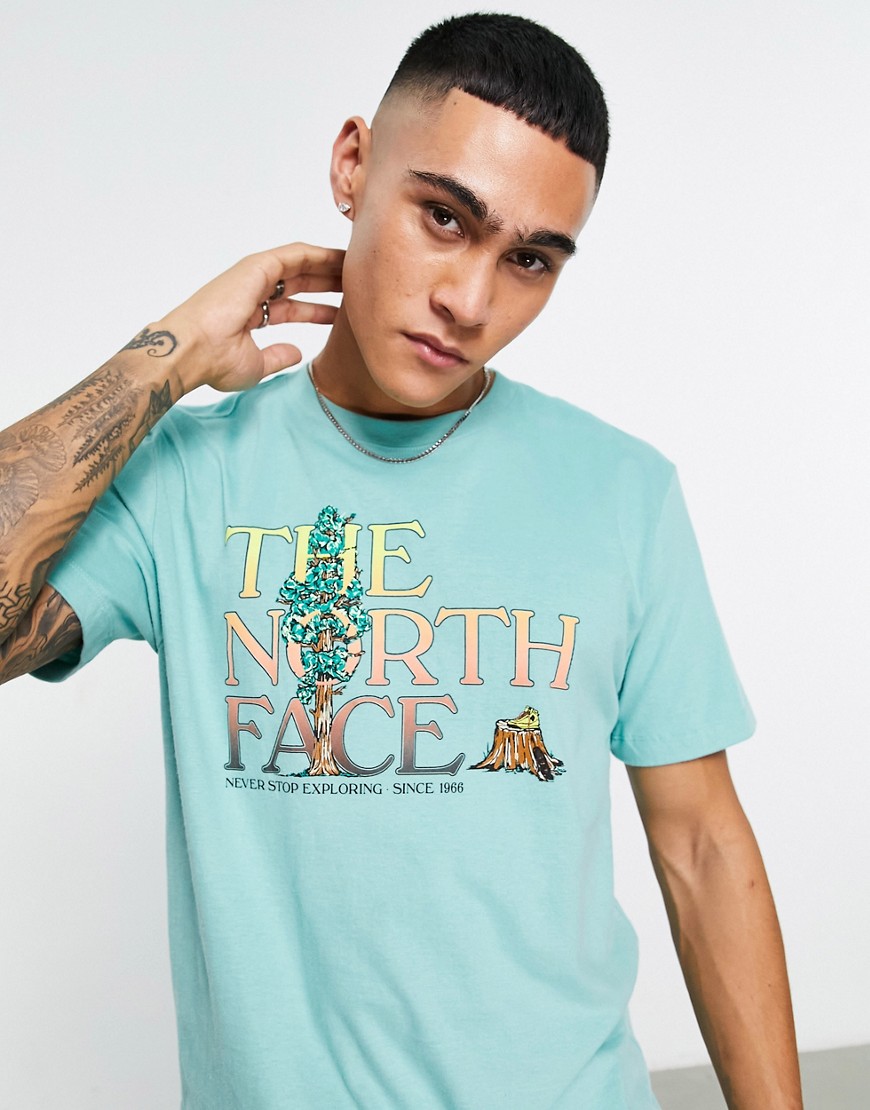 The North Face Graphic Injection chest print t-shirt in teal green