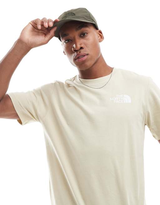 【THE NOTRH FACE】 M'S EVERGREEN S/S R/TEE‐BEIGE The North Face Graphic snake Tee in beige | ASOS