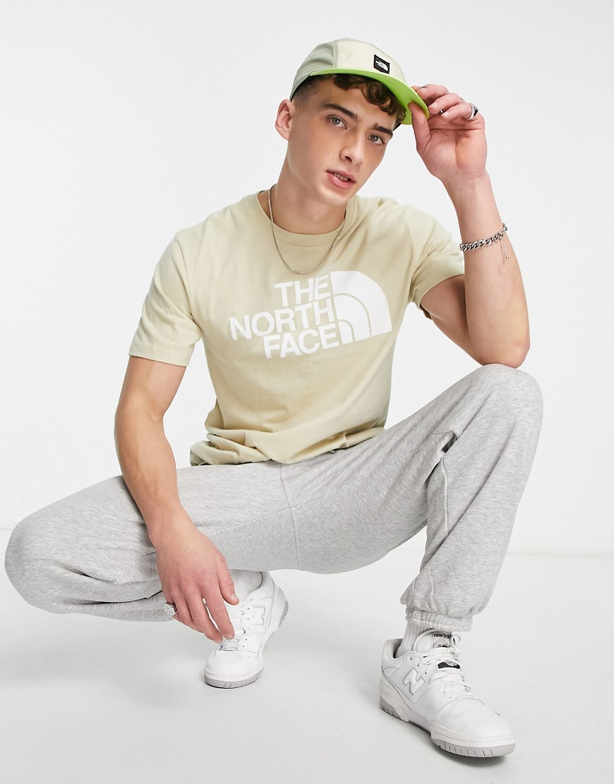 The North Face Half Dome chest print t-shirt in stone-Neutral