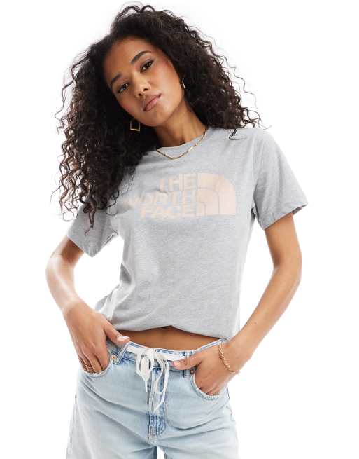 The North Face Half Dome T-shirt in light gray