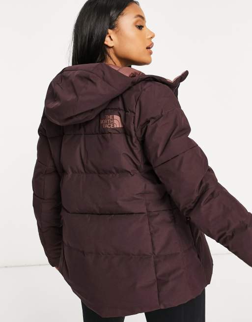 Doudoune the 2025 north face marron