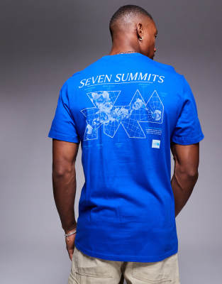 heavyweight relaxed T-shirt with back graphic in blue