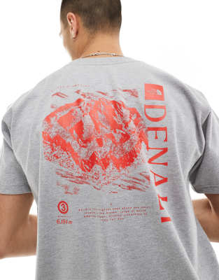 heavyweight relaxed t-shirt with back graphic in gray heather