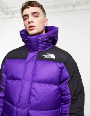 purple north face jacket 700