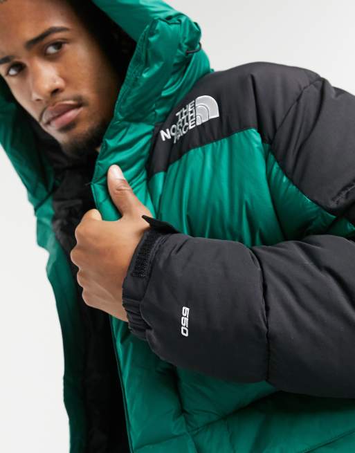 The north shop face coat green