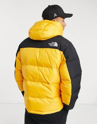 north face yellow down jacket