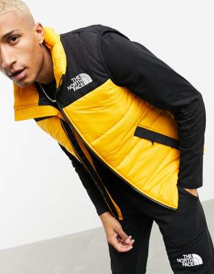 north face gold vest