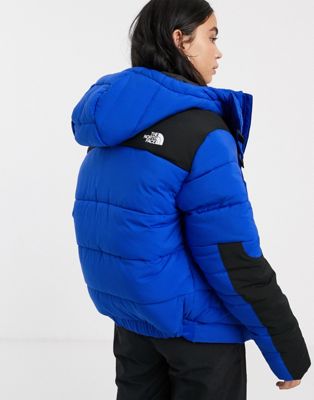blue and black north face puffer jacket