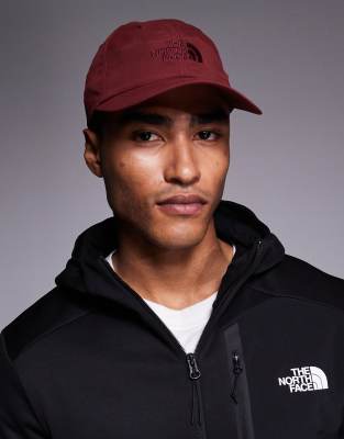 The North Face Horizon Cap In Metallic