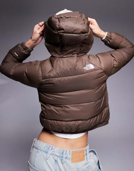 The North Face Hydrenalite hooded down puffer jacket in smoky brown