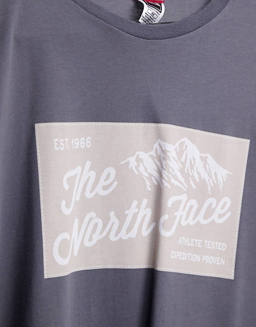  The North Face Image Ideals long sleeve t-shirt in grey 