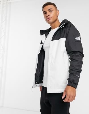 north face mountain q white