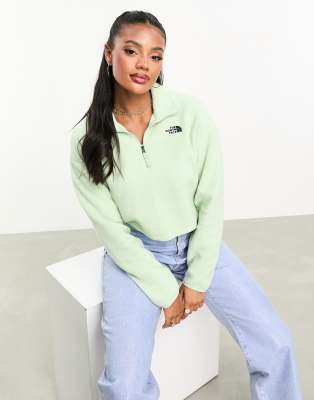 The North Face - Kurzes Sweatshirt aus hochflorigem Fleece in Salbeigrün, exklusiv bei ASOS