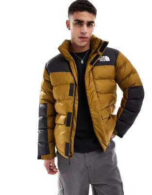 The North Face Limbara Jacket In Green