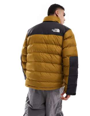 The North Face Limbara Jacket In Green