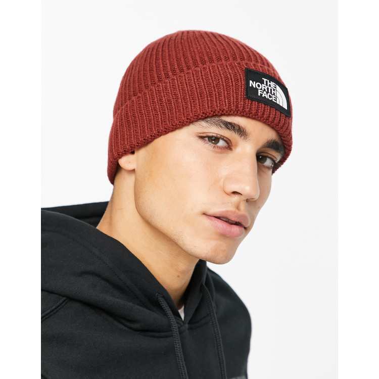 Everyday Box Logo Beanie (Burgundy) by The Official Brand