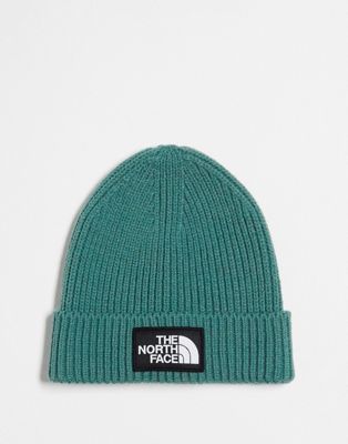 The North Face Logo patch cuffed beanie in sage green