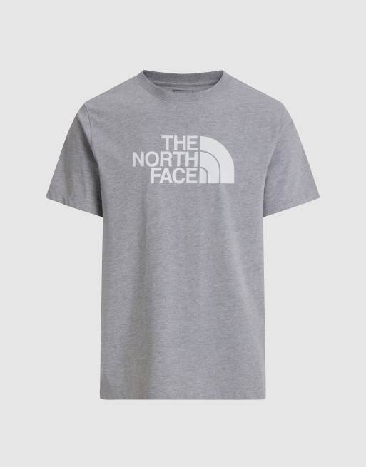 The North Face - M Evolution - T-shirt a maniche corte regular fit con logo a mezza cupola grigio pallido mélange, 3 di 4