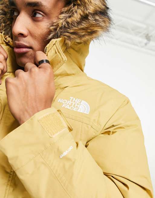 the north face mens mcmurdo parka