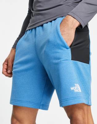 north face fleece shorts mens