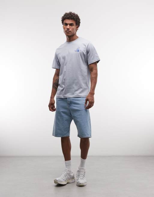 The North Face - Mountain Celebration - T-shirt à imprimé au dos - Gris, 2 de 5