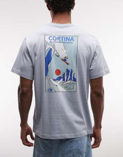 The North Face - Mountain Celebration - T-shirt met print op de achterkant in grijs - view 1