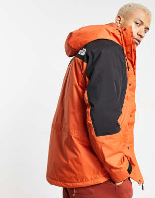 the north face mountain light 2