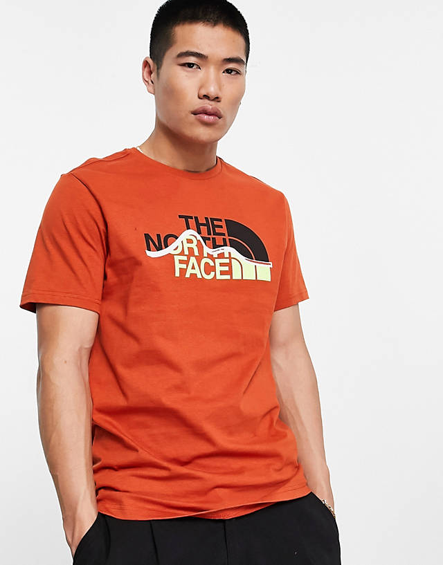The North Face - mountain line chest graphic t-shirt in rust