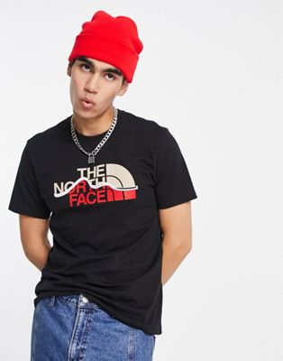 The North Face Mountain Line t-shirt in black