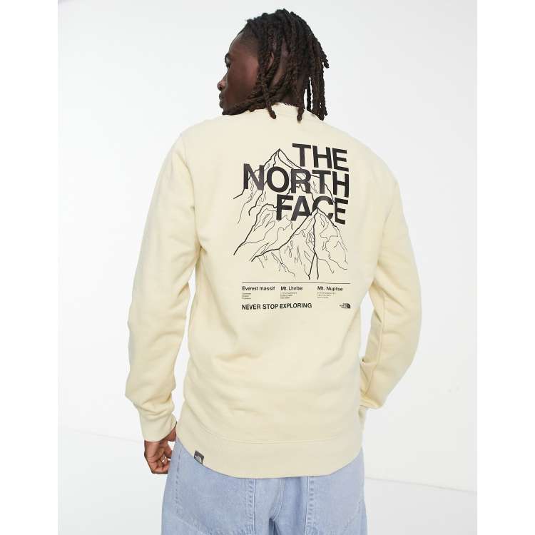 THE NORTH FACE - THE NORTH FACE BACK GRAPHIC PRINT 新作 送料無料THE NORTH FACE BACK GRAPHIC PRINT T-SHIRT (THE NORTH