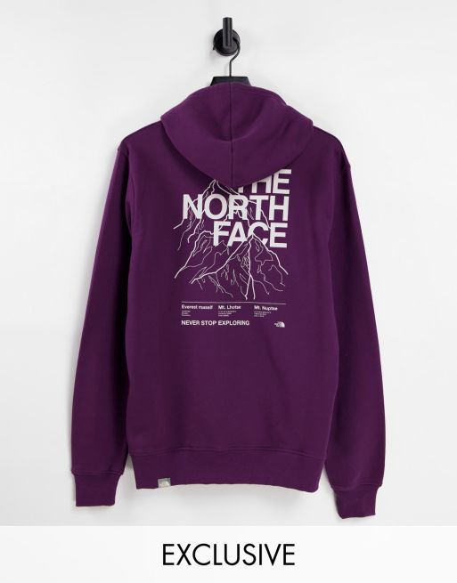 North face mt sales everest hoodie