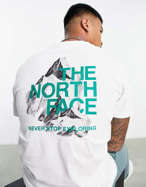 The North Face Mountain Outline back print t-shirt in gray