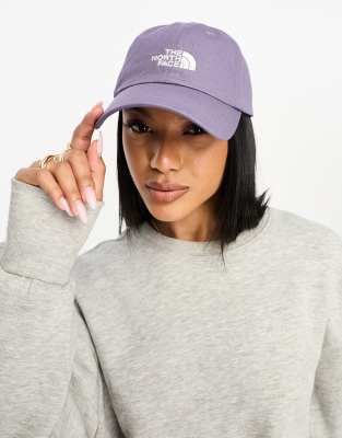 North face the hot sale norm hat