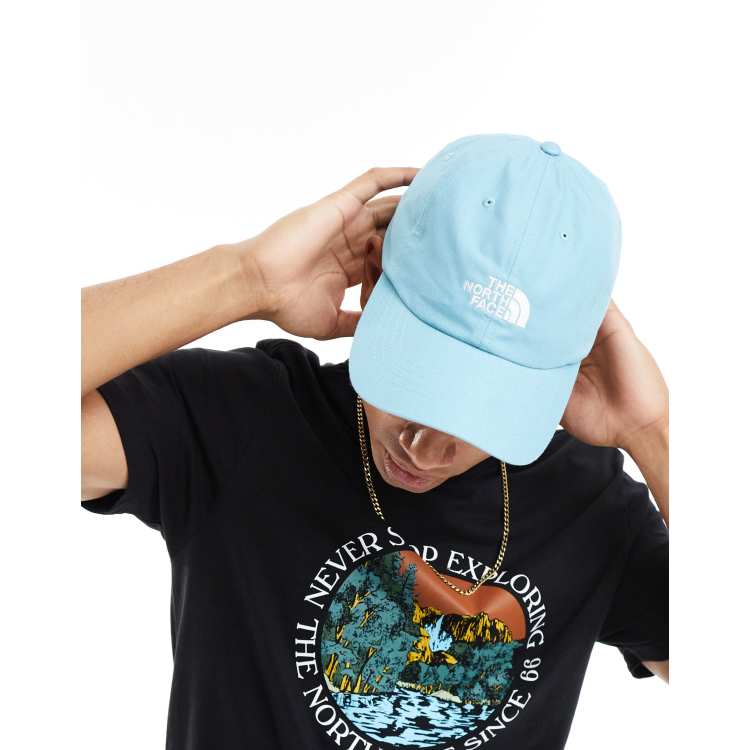 Blue north on sale face cap