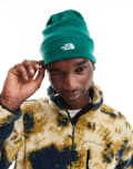 [The North Face] The North Face Norm logo beanie hat in green One Size Evergreen