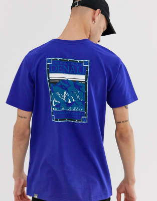 the north face blue t shirt