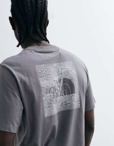 The North Face NSE Celebration grafisk T-shirt i grå - view 1