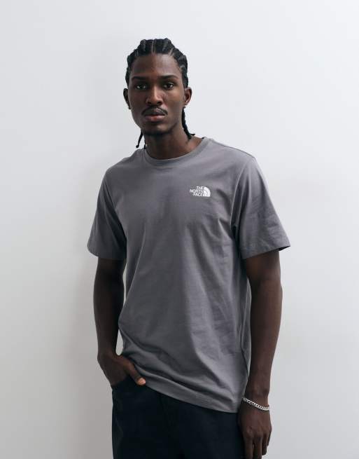 The North Face NSE Celebration grafisk t-shirt i grått, 5 av 5