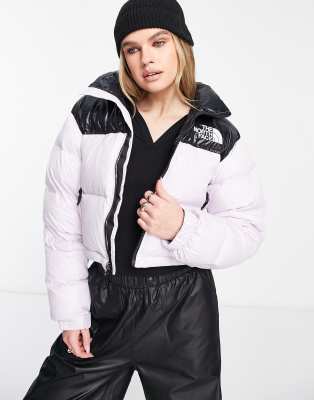 The North Face Nuptse Short Jacket In Purple